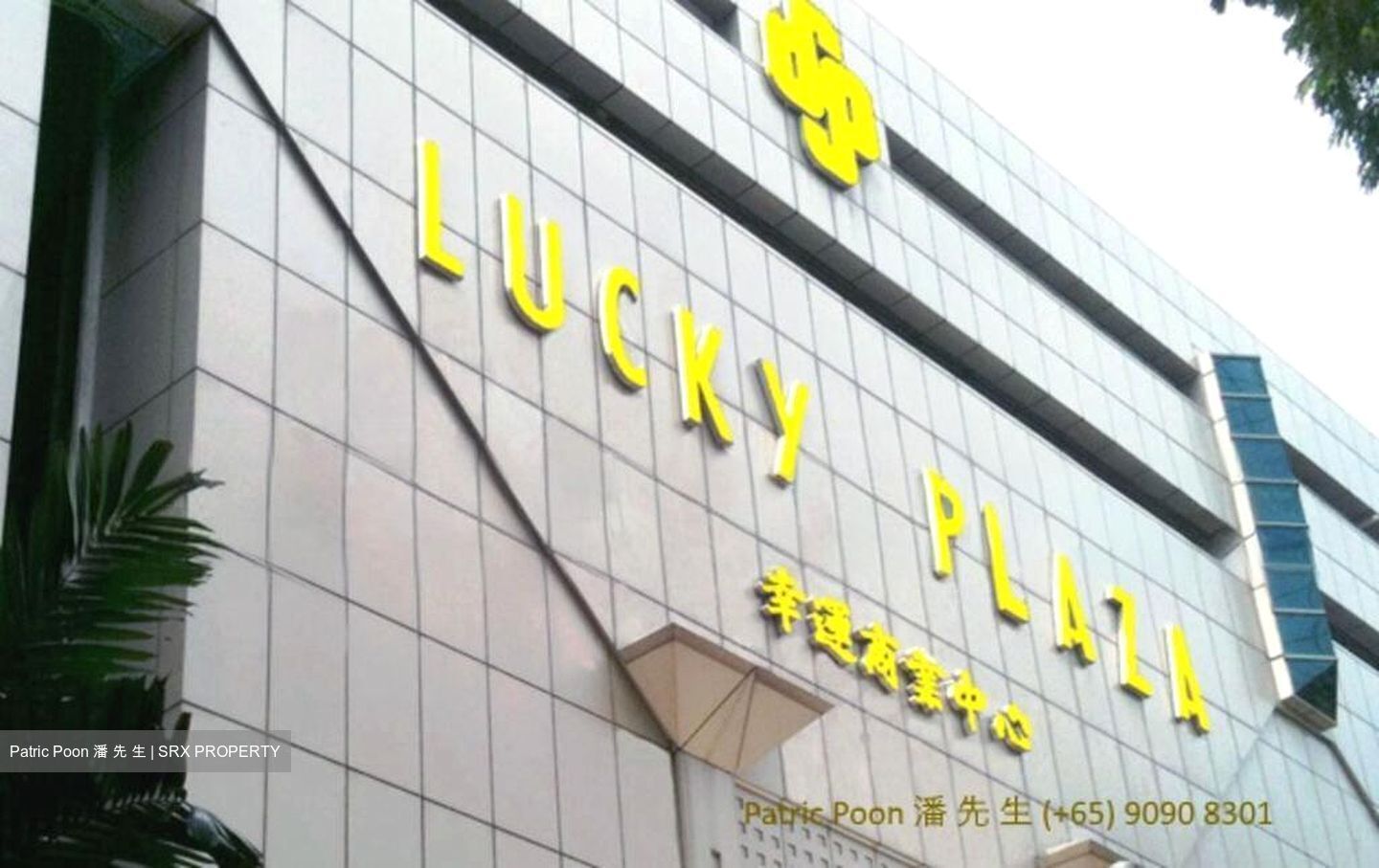 Lucky Plaza (D9), Shop House #511691301